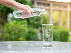 Belgia Punya Perusahaan Penyuling Darah Babi Agar Bisa Diminum