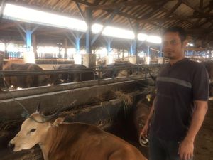 Jelang Idul Adha, Penjualan Hewan Kurban di Bekasi Meningkat