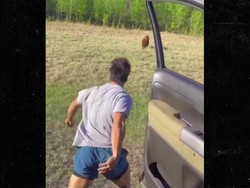 Lagi-lagi Demi Konten, Turis Edan Kejar-kejaran Sama Beruang