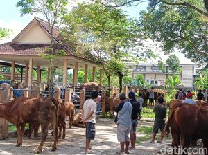Wabah Lumpy Skin Disease Pengaruhi Penjualan Sapi di Blitar Jelang Idul Adha Wabah Lumpy Skin Disease Pengaruhi Penjualan Sapi di Blitar Jelang Idul Adha