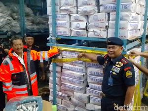 KKP Segel 20 Ton Ikan Salem Impor Tak Sesuai Peruntukan di Batam KKP Segel 20 Ton Ikan Salem Impor Tak Sesuai Peruntukan di Batam