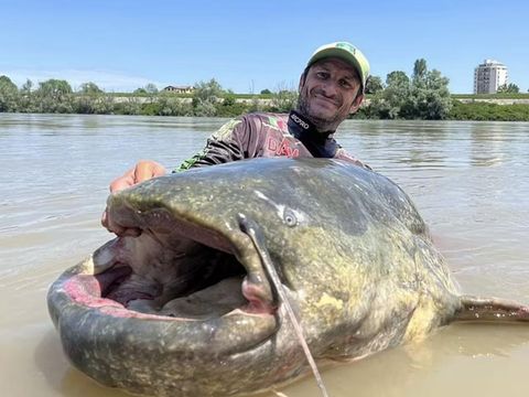 Ikan lele terbesar ditangkap