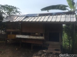 5 Ekor Kambing di Bekasi Dijagal Pencuri, Tersisa Jeroan Saja