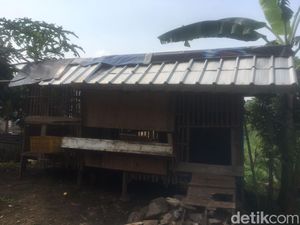 5 Ekor Kambing di Bekasi Dijagal Pencuri, Tersisa Jeroan Saja 5 Ekor Kambing di Bekasi Dijagal Pencuri, Tersisa Jeroan Saja