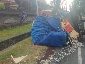 Mobil Pikap Terguling di Jalan Denpasar-Gilimanuk, Ikan Berserakan Mobil Pikap Terguling di Jalan Denpasar-Gilimanuk, Ikan Berserakan