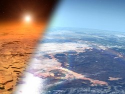 Ilmuwan Mau Bikin Fotosintesis Buatan Demi Tinggal di Luar Angkasa