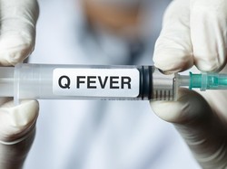 Q Fever