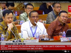 DPR Tegur Bos Smelter Gara-gara Rapat Tak Pakai Bahasa Indonesia