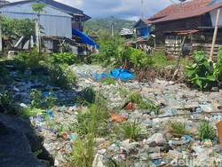 Jorok! Kanal di Mamuju Sudah Setahun Dipenuhi Sampah Sepanjang 500 Meter