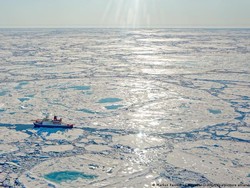 Samudera Arktika Meleleh Satu Dekade Lebih Cepat dari Perkiraan