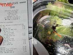 Zonk! Beli Salad via Drive Thru, Pelanggan Ini Nyaris Telan Serangga