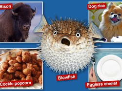 5 Permintaan Makanan Aneh Tamu Hotel, dari Air Diet hingga Es Krim Leleh!