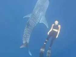 Gisel Cerita Ngeri-ngeri Sedap Diving Bareng Hiu Paus