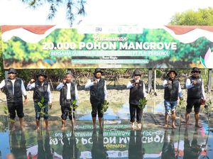 Khofifah Tanam 20.000 Mangrove dalam Rangka Hari Lingkungan Hidup Sedunia