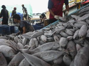 Mengapa Ikan Berbau Amis? Yuk Cari Tahu! Mengapa Ikan Berbau Amis? Yuk Cari Tahu!