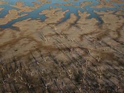 Pola El Nino Terulang, Ilmuwan Cemaskan Kondisi Ekstrem