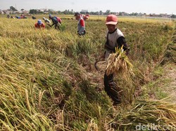 Menanti Kelanjutan Hasil Pekan Nasional Petani dan Nelayan