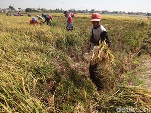 Menanti Kelanjutan Hasil Pekan Nasional Petani dan Nelayan Menanti Kelanjutan Hasil Pekan Nasional Petani dan Nelayan