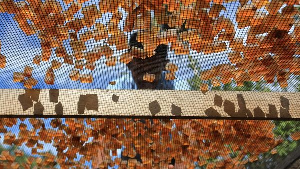 Produksi Kerupuk Kulit di Aceh Menurun Hingga 80 Persen