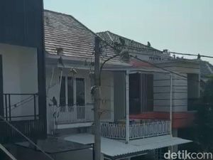 Geger Gerombolan Monyet Serbu Perumahan di Depok Bikin Warga Takut Geger Gerombolan Monyet Serbu Perumahan di Depok Bikin Warga Takut