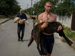 Relawan Sibuk Evakuasi Binatang Korban Banjir di Kherson