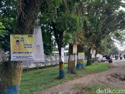 Spanduk Bacaleg Bertebaran di Pohon, Satpol PP Copot Jika Melanggar