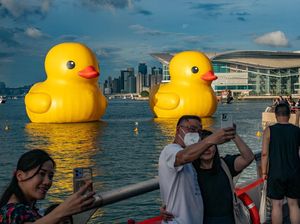 Si Bebek Raksasa Berlabuh di Hong Kong Si Bebek Raksasa Berlabuh di Hong Kong