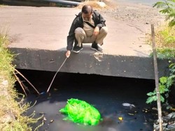 Detik-detik Warga Temukan Mayat Mutilasi di Sidoarjo Diawali Bau Menyengat