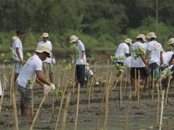 Ratusan Warga dan Kelompok Wisata di Banyuwangi Tanam Mangrove