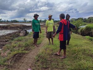 Petani Soppeng Curhat 3 Tahun Tak Tanam Padi Imbas Proyek Irigasi BBWSP