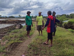 Petani Soppeng Curhat 3 Tahun Tak Tanam Padi Imbas Proyek Irigasi BBWSP