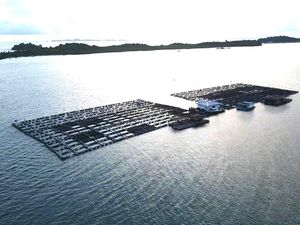 Potret Keramba 2 Hektare yang Disegel KKP