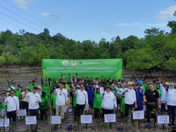 Bareng Masyarakat, Freeport-KLHK Tanam 2 Hektare Mangrove di Sekitar IKN