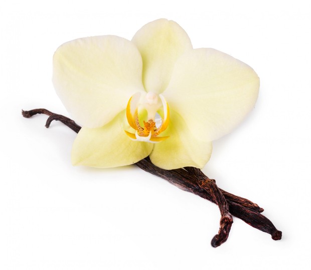 Racool_studio Racool_studio