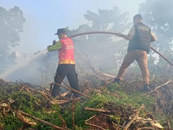 Lahan Tidur di Palembang Terbakar, 3 Jam Tim Berjibaku Padamkan Api