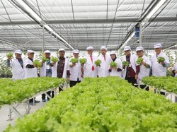 Mentan: Smart Green House, Upaya Hasilkan Produk Pertanian Berkualitas