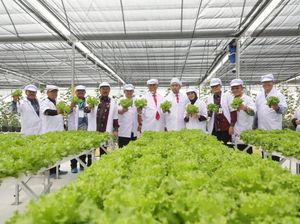 Mentan: Smart Green House, Upaya Hasilkan Produk Pertanian Berkualitas Mentan: Smart Green House, Upaya Hasilkan Produk Pertanian Berkualitas