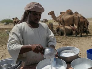 Susu Unta Bisa Jadi Sumber Konsumsi Penting Berikutnya di Dunia, Ini Sebabnya