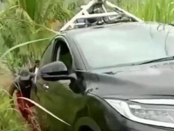 Ironi Mobil Google Maps Nyasar ke Kebun Tebu gegara Sopir Ikuti Aplikasi