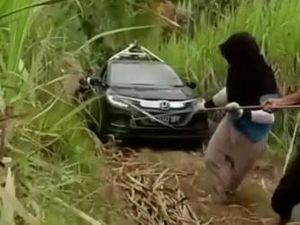 Ejekan Netizen Tahu Mobil Google Maps Nyasar ke Kebun Tebu: Kapokmu Kapan! Ejekan Netizen Tahu Mobil Google Maps Nyasar ke Kebun Tebu: Kapokmu Kapan!