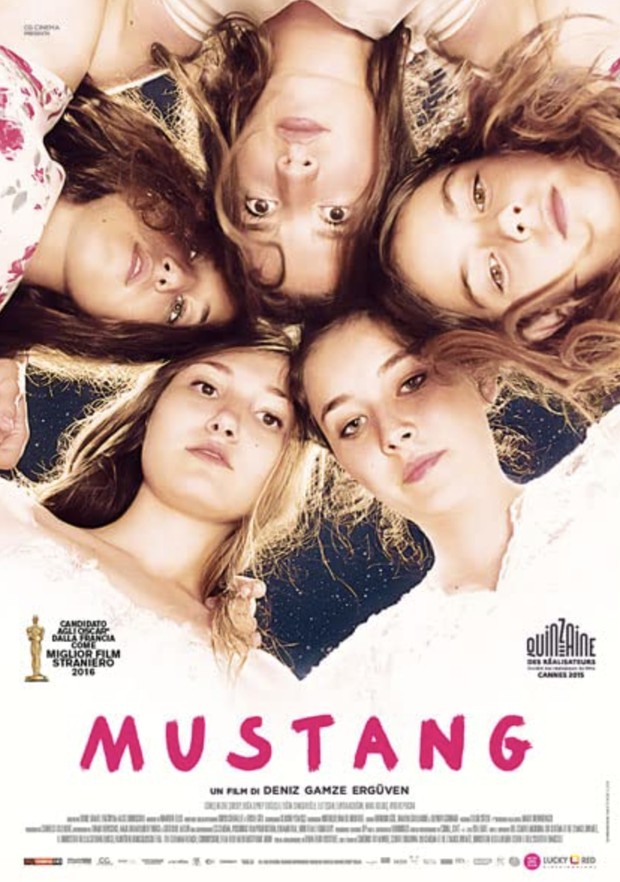 Mustang (2015) Mustang (2015)