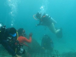 Nikmati Sensasi Jadi Ortu Asuh Koral Sambil Scuba Diving di Tanjung Benoa