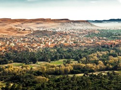 Tanah Madinah Zaman Rasulullah Dikenal Subur, Begini Kondisinya