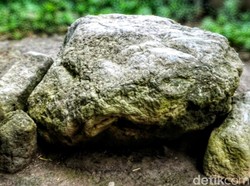 Uniknya Batu Kubur Dolmen di Bondowoso, Selalu Membujur ke Arah Gunung Api