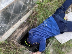 Damkar Turun ke Gorong-Gorong Evakuasi Ular Sanca di Perumahan Depok