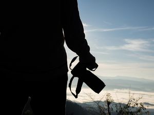 Dramatis! Fotografer Potret Induk Serigala Selamatkan Anak dari Elang