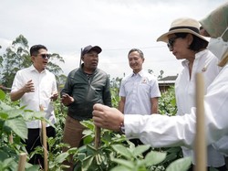 Hadapi Ancaman Krisis Pangan Dunia, Negara ASEAN Perlu Lakukan Ini