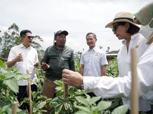 Hadapi Ancaman Krisis Pangan Dunia, Negara ASEAN Perlu Lakukan Ini Hadapi Ancaman Krisis Pangan Dunia, Negara ASEAN Perlu Lakukan Ini