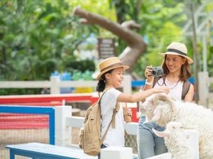 12 Cerita Pendek tentang Liburan Sekolah Berbagai Tema yang Menarik 12 Cerita Pendek tentang Liburan Sekolah Berbagai Tema yang Menarik