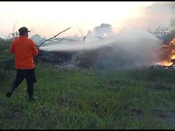 2 Hektare Lahan Diduga Bakal Perumahan di Palembang Terbakar